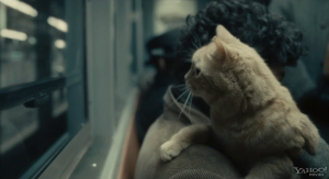 It's actually pretty impressive how emotive they manage to make this cat.